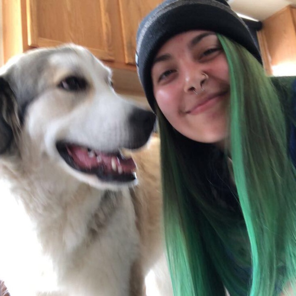 Meet your Posher, Bella